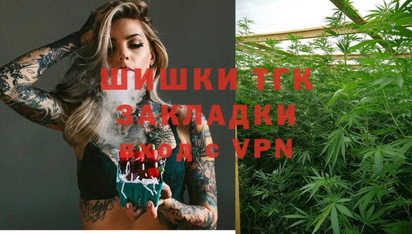 гашик Тобольск