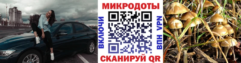 ОМГ ОМГ маркетплейс  Лысково  Галлюциногенные грибы ЛСД 